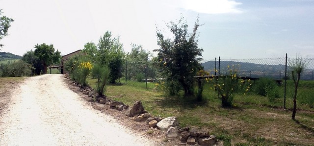 04_Strada_di_ingresso_con_laghetto